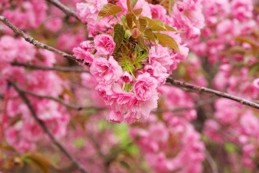 湖州德清线下个人借款平台一站式服务，轻松解决资金难题