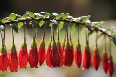 湖州德清零用贷短借：轻松解决临时资金需求