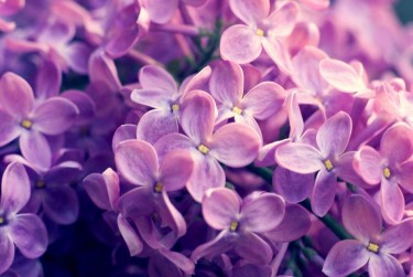 湖州德清企业急用钱贷款攻略：快速融资解燃眉之急